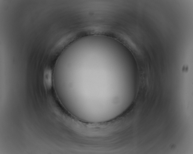 X0000093390022200710111524