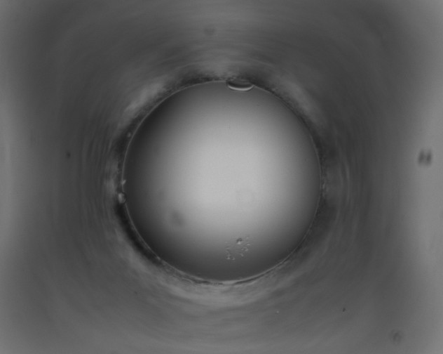 X0000093390023200710111524