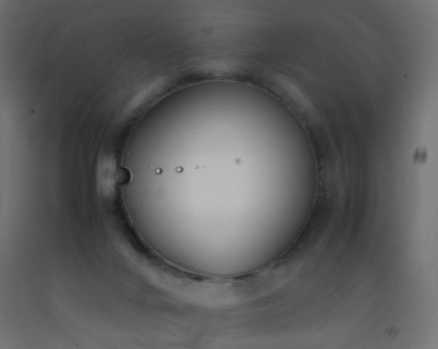 X0000093390024200710111524