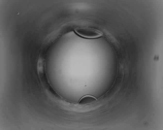 X0000093390026200710111524