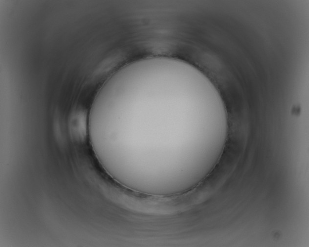 X0000093390028200710111524