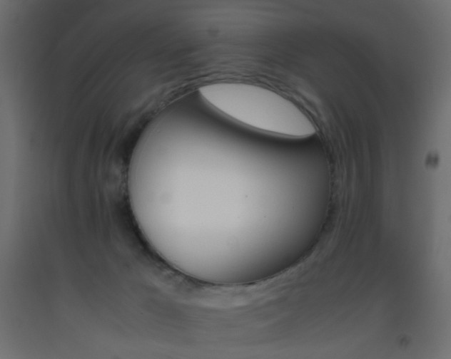 X0000093390029200710111524