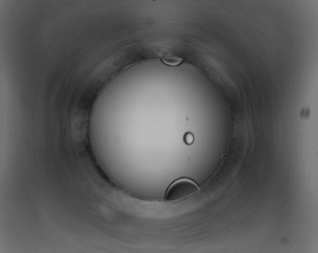 X0000093390030200710111524