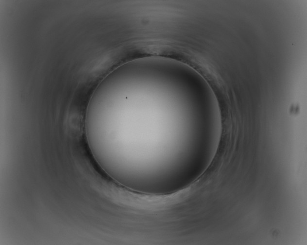 X0000093390031200710111524