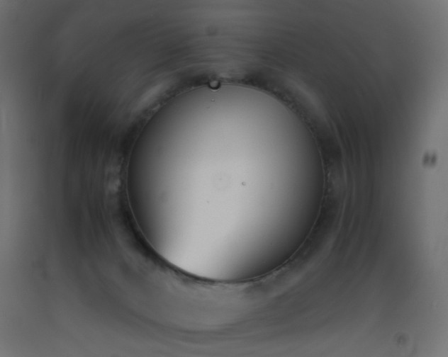 X0000093390032200710111524