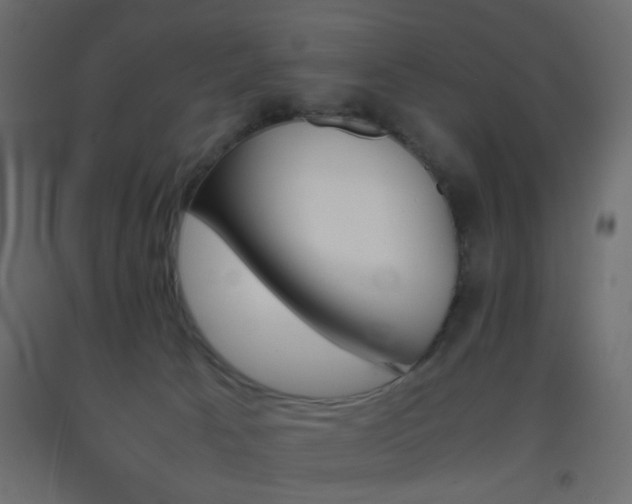 X0000093390033200710111524