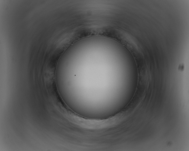 X0000093390034200710111524