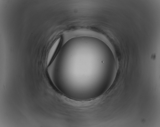 X0000093390035200710111524