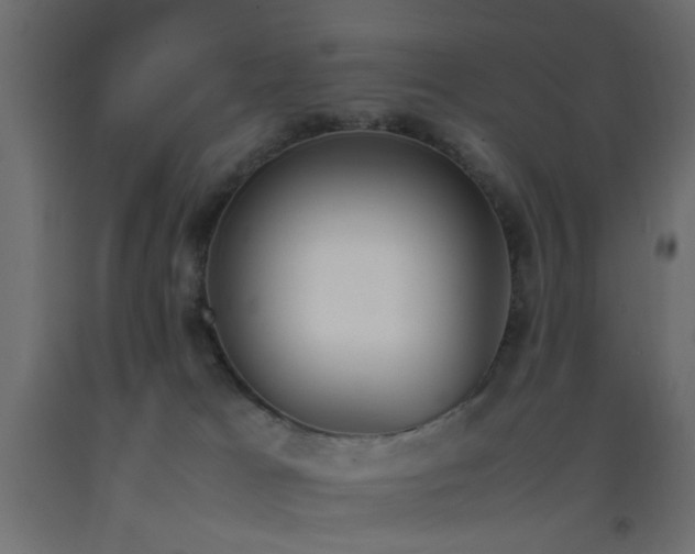 X0000093390037200710111524