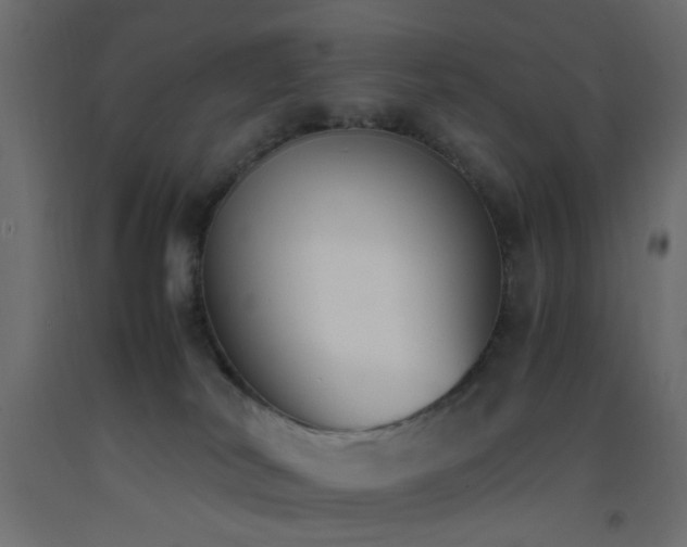 X0000093390038200710111524