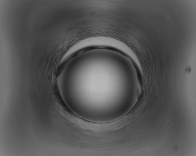 X0000093390039200710111524