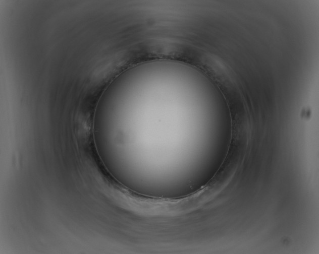 X0000093390040200710111524