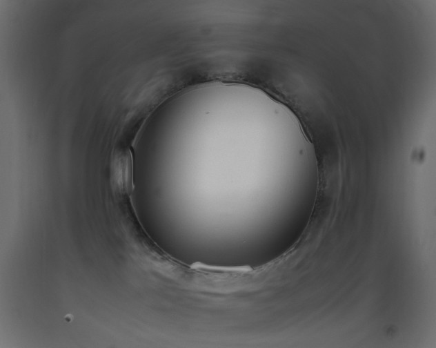 X0000093390041200710111524