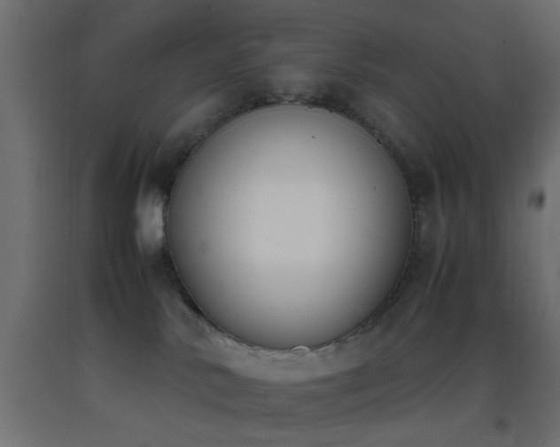 X0000093390042200710111524