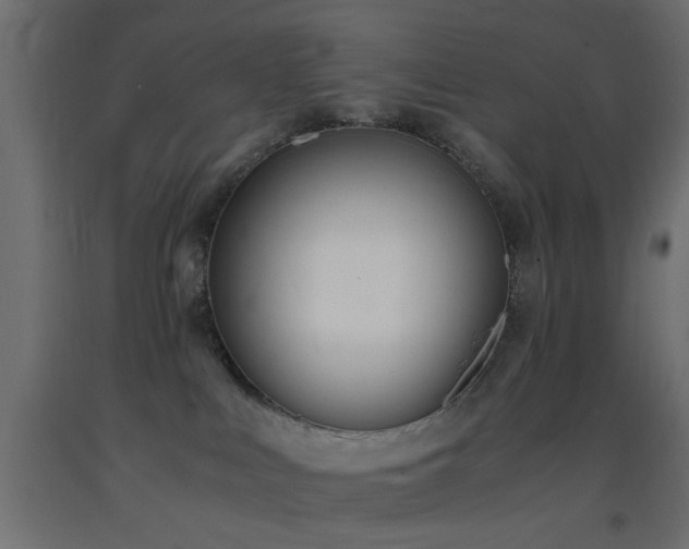 X0000093390043200710111524