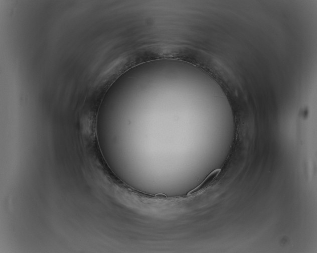 X0000093390044200710111524