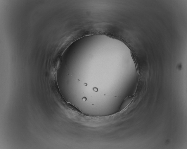 X0000093390045200710111524