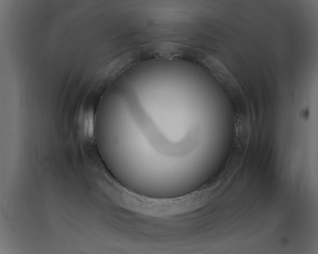 X0000093390046200710111524