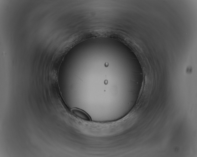 X0000093390048200710111524