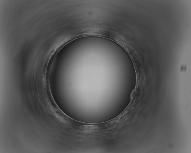 X0000093390050200710111523