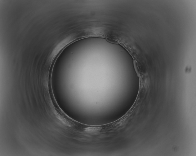 X0000093390051200710111523