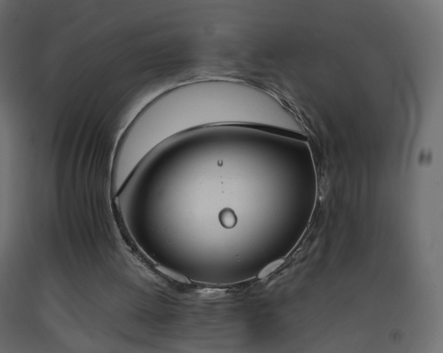 X0000093390052200710111523