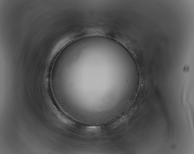 X0000093390053200710111523