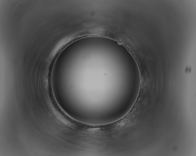 X0000093390054200710111523