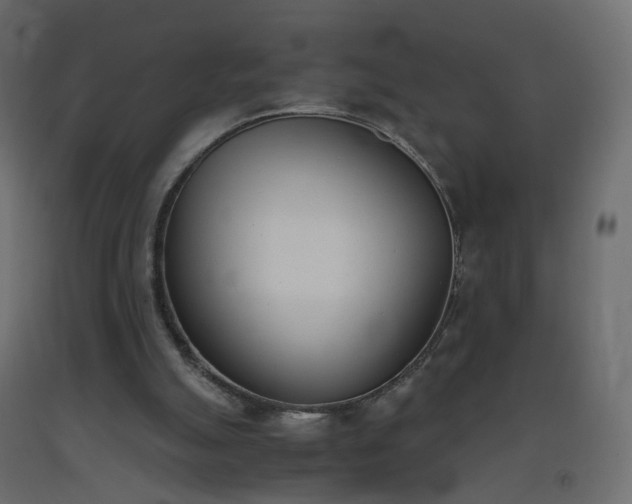 X0000093390055200710111523