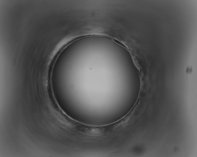 X0000093390056200710111523