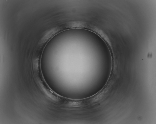 X0000093390057200710111523