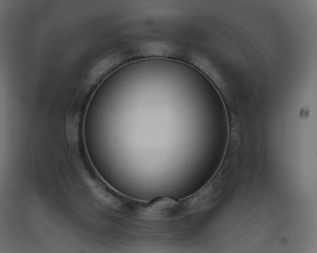 X0000093390058200710111523