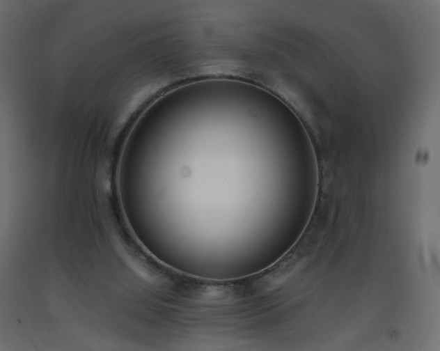 X0000093390060200710111523