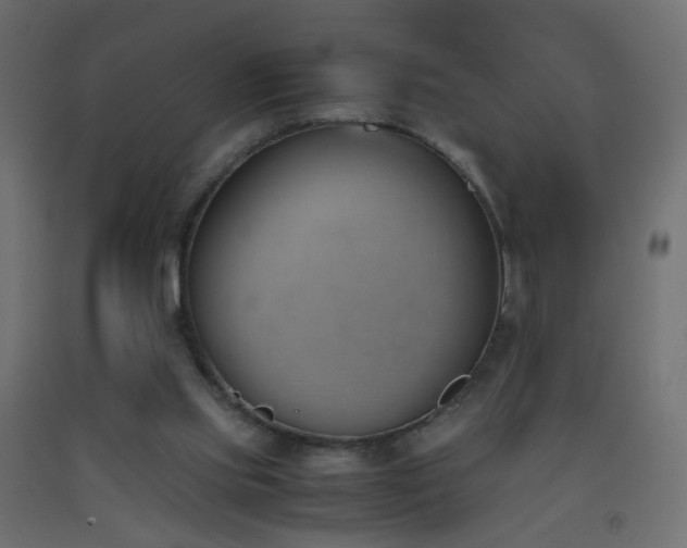 X0000093390061200710111523