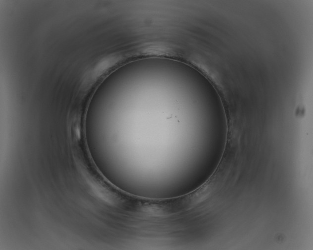 X0000093390062200710111523