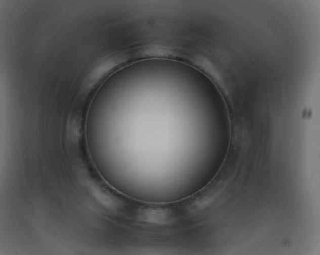 X0000093390063200710111523