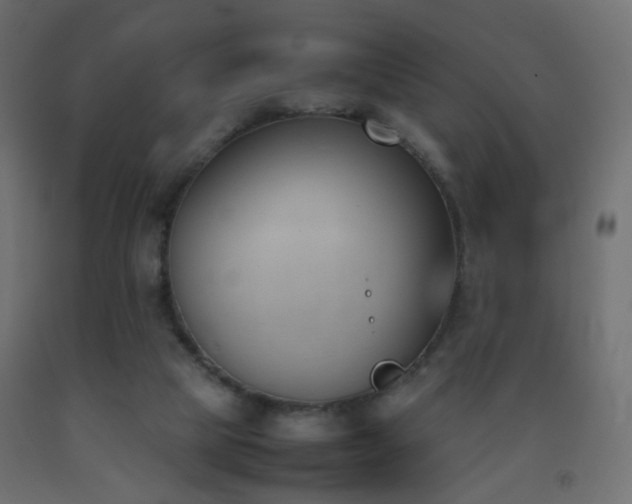 X0000093390065200710111523