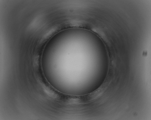 X0000093390066200710111523