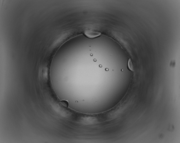 X0000093390067200710111523