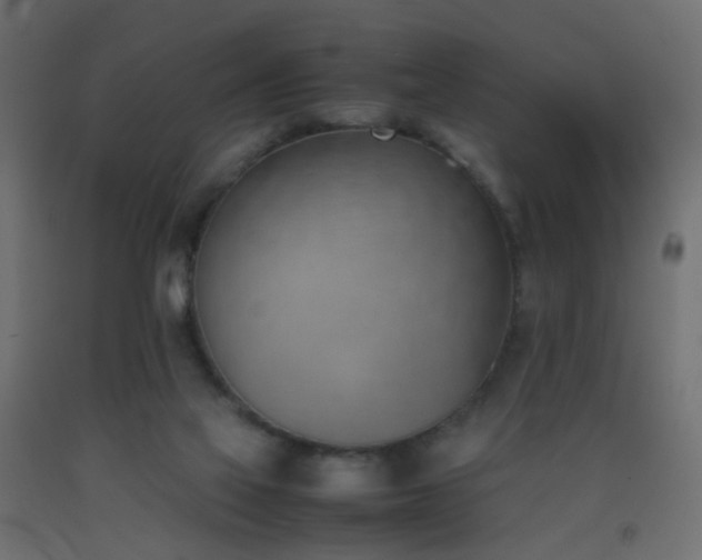 X0000093390069200710111523