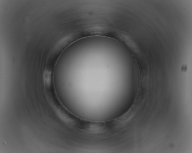 X0000093390070200710111523