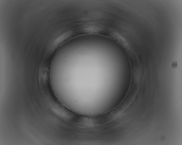 X0000093390071200710111523