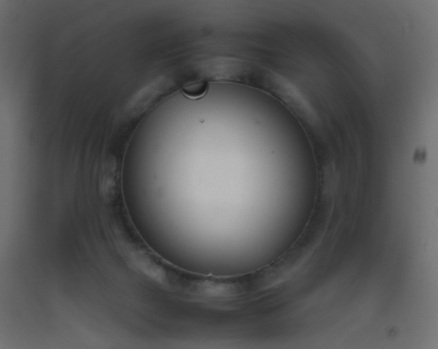 X0000093390073200710111523