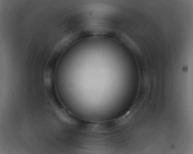 X0000093390074200710111524