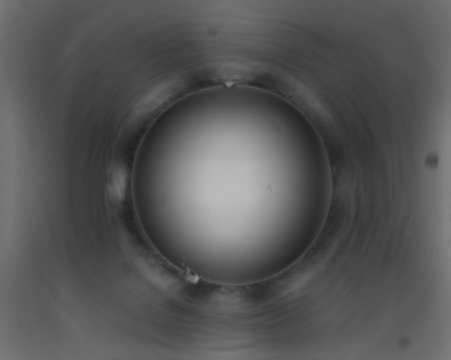 X0000093390076200710111524