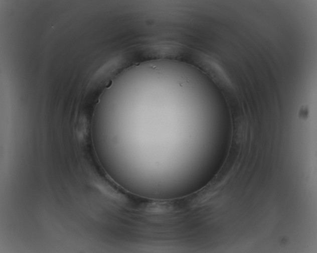 X0000093390077200710111524