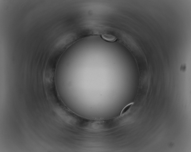 X0000093390078200710111524