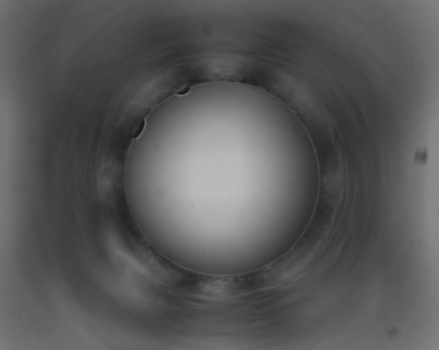 X0000093390079200710111524