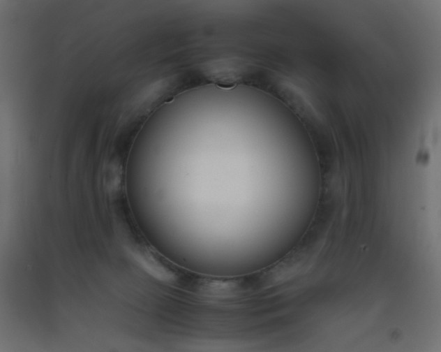 X0000093390081200710111524