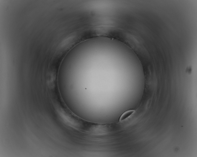 X0000093390082200710111524